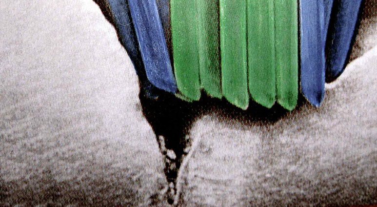 Zahnarztpraxis Dr. Isabel Selmair - München, Schwabing / Vorsorge Prophylaxe, Fissuren und Versiegelungen