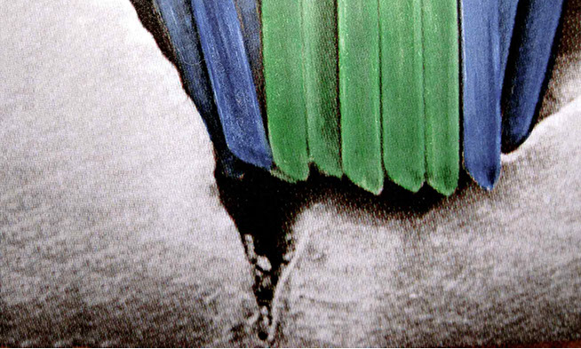 Zahnarztpraxis Dr. Isabel Selmair - München, Schwabing / Vorsorge Prophylaxe, Fissuren und Versiegelungen