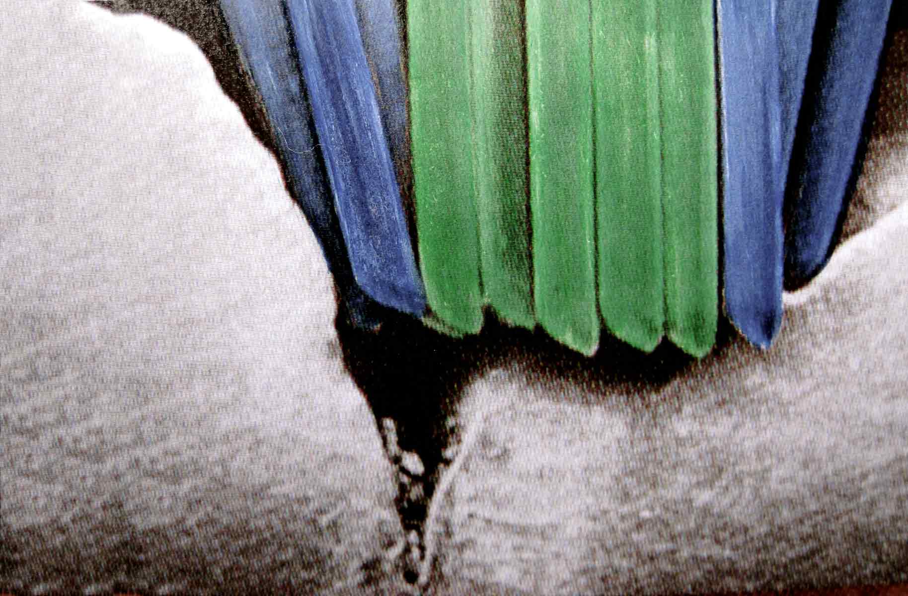 Zahnarztpraxis Dr. Isabel Selmair - München, Schwabing / Vorsorge Prophylaxe, Fissuren und Versiegelungen