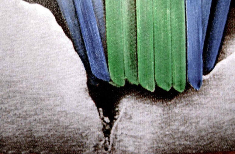 Zahnarztpraxis Dr. Isabel Selmair - München, Schwabing / Vorsorge Prophylaxe, Fissuren und Versiegelungen